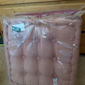 Urban Outfitters 18in Pillows/Cushions (2)